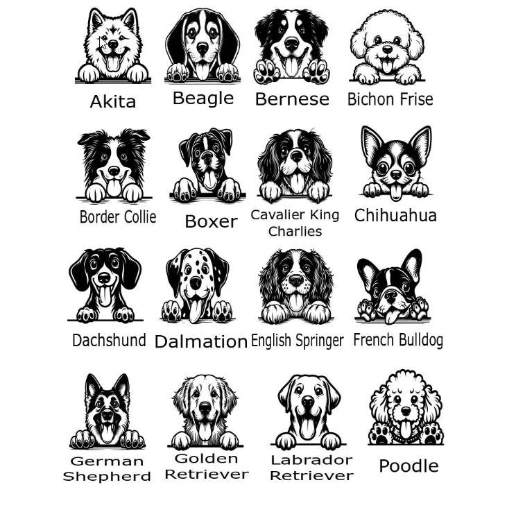 Personalised Pet Document Folder, A4 Document Folder, Dog Document Folder, Personalised Dog Felt Folder, Vets Folder, A4 Vets Folder