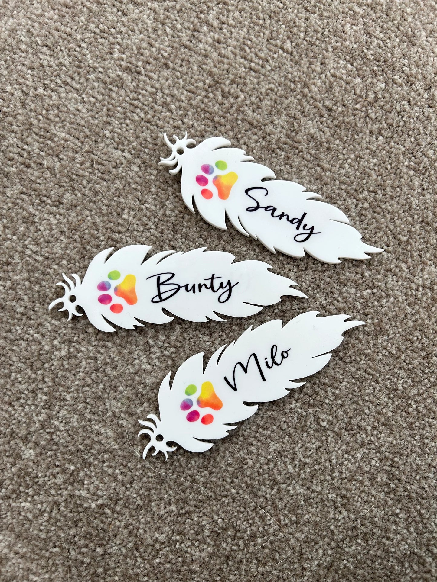 Pet Memorial Gift, Pet Remembrance Keepsake, Personalised Pet Memorial Gift, Rainbow Bridge, Pet Sympathy Gift, Remembrance Feather,