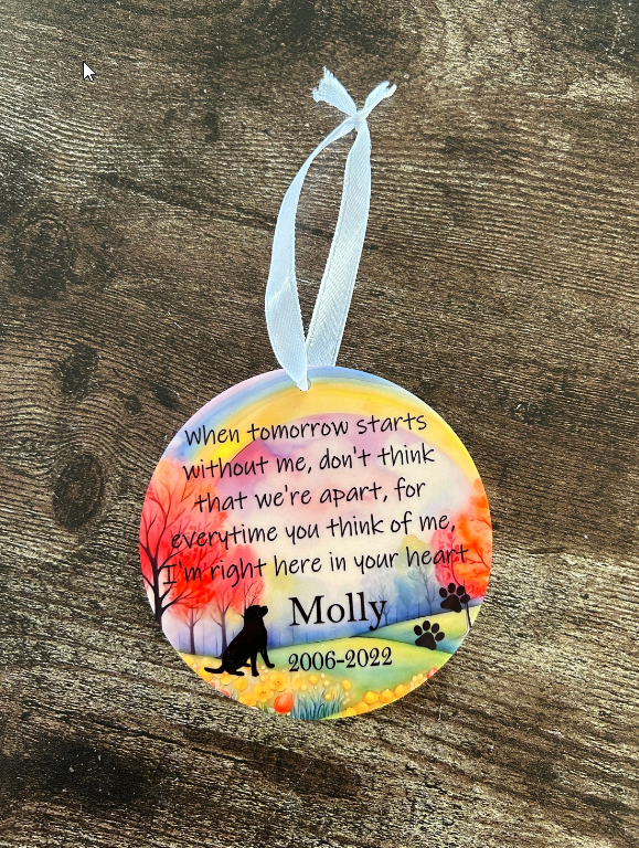 Pet Memorial Gift, Pet Sympathy Gift, Gift For Pet Loss, Dog Memorial Gift, Cat Memorial Present, Memorial Gift, Pet Loss Present, Memorial