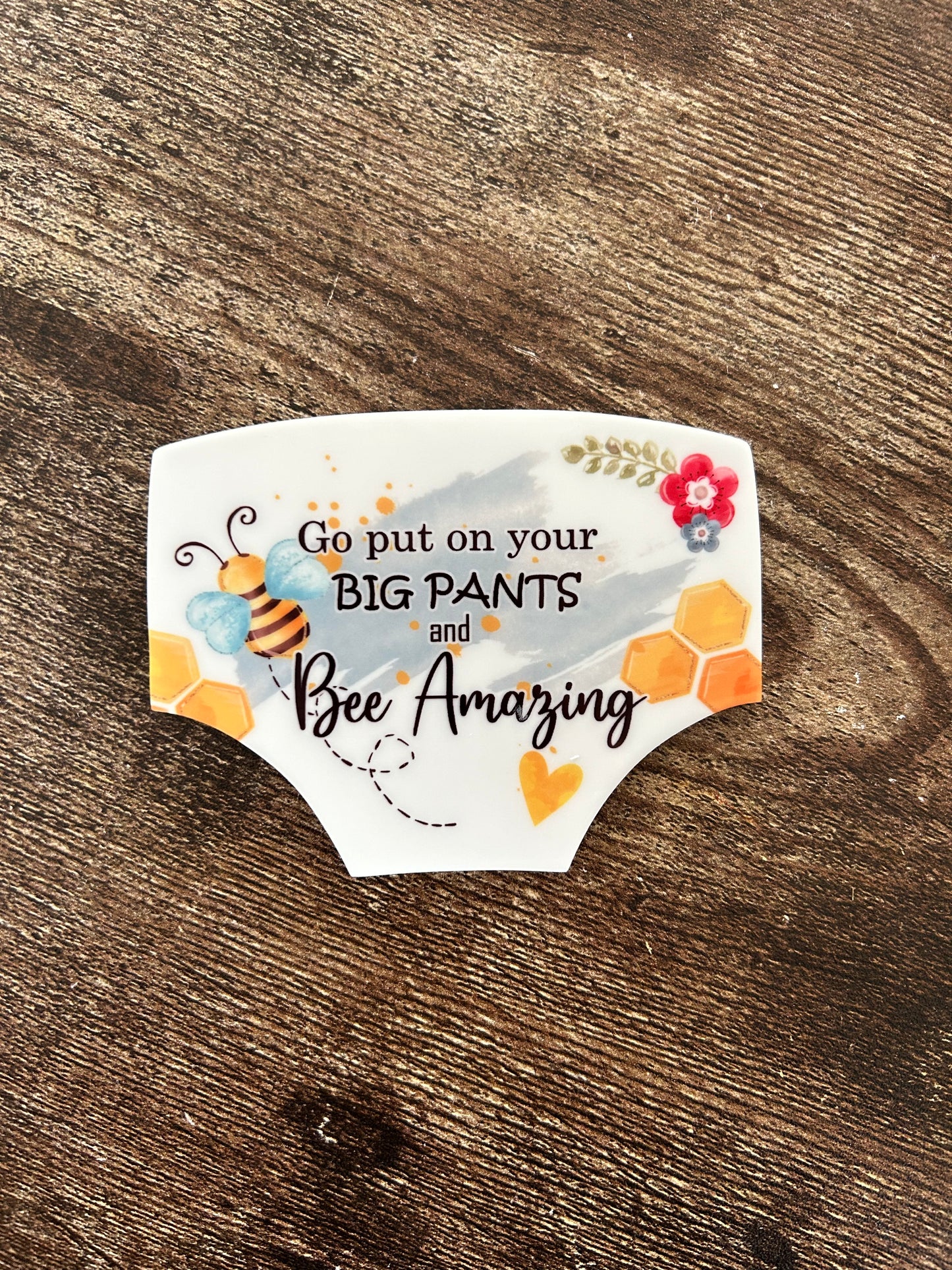 Funny Fridge Magnet, Big Girl Pants Gift, Big Girl Pants Fridge Magnet, Gift For Her, Cheer Up Gift, Friend Gift, Gift For Sister, Sister