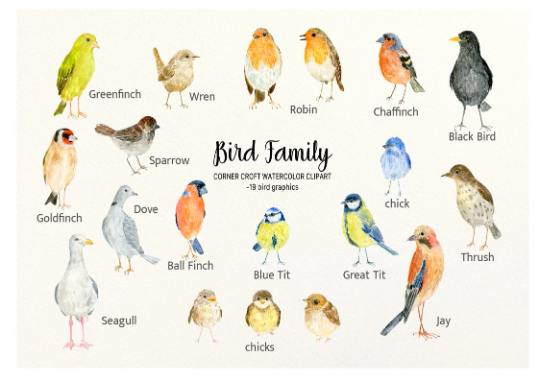 Personalised Bird Family Print, Family Gift, Robin Print, Bird Family Gift, Bird Lover Gift