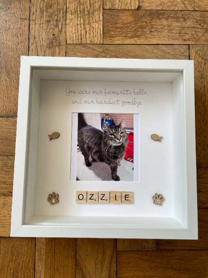 Personalised Cat Memorial Frame, Cat Memorial Gift, Cat Loss Gift