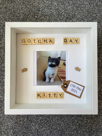 Personalised Cat Gotcha Day Frame, Kitten Gotcha Day Frame, Pet Gift, Cat Frame