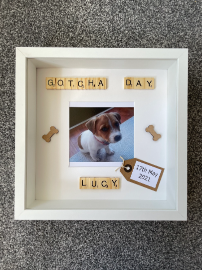 Personalised Dog Gotcha Day Frame
